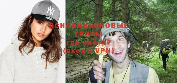 PSILOCYBIN Абдулино